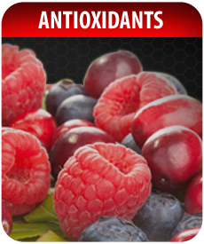 Antioxidants by Vitamin Prime